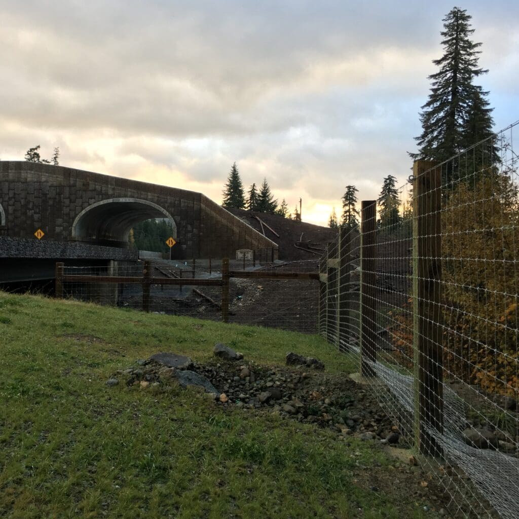 Hyak to Stampede Pass Phases 1F & 2F - Fencing 1B & 2A